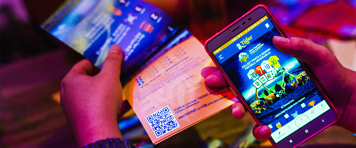 Photo by All Is Amazing (www.allisamazing.com)