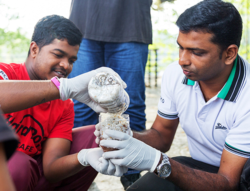 news_banner_square_template_resized04